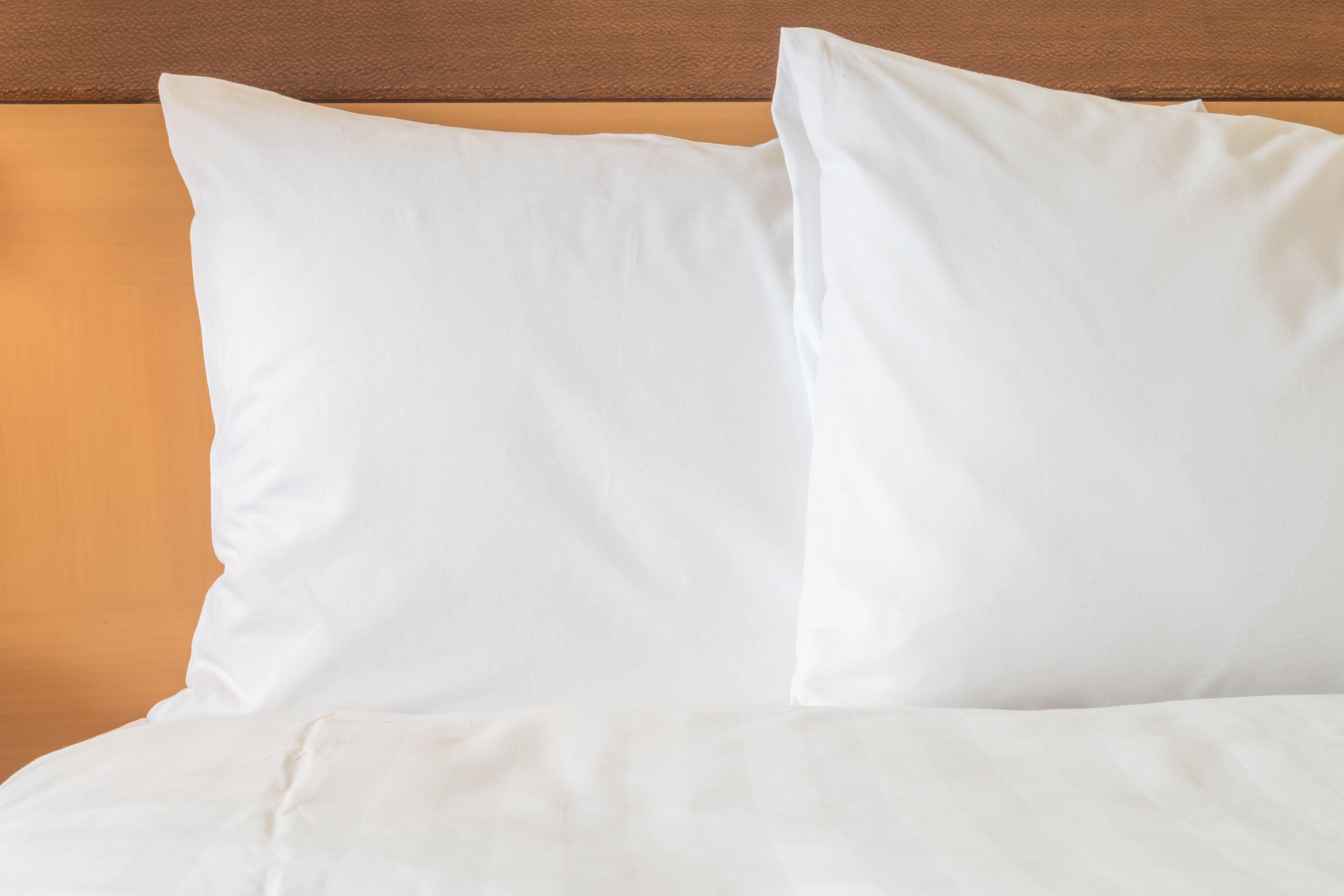 Holiday Inn Gainesville-University Center By Ihg Luaran gambar